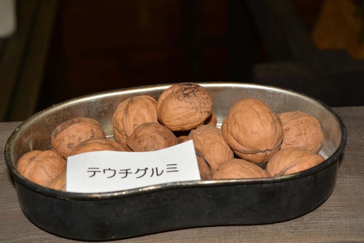 木の実・草の実（その3）: from仙台