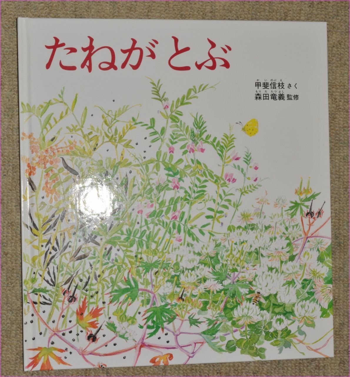 木の実草の実（その11）: from仙台